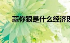 蒜你狠是什么经济现象（蒜你狠简介）