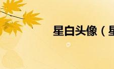 星白头像（星白闲简介）
