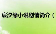 宸汐缘小说剧情简介（宸汐缘原著小说介绍）