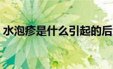 水泡疹是什么引起的后果怎样（水泡疹简介）