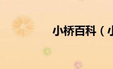 小桥百科（小桥惠简介）