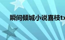 瞬间倾城小说喜枝txt（瞬间倾城简介）