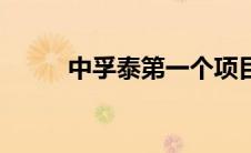 中孚泰第一个项目（中孚泰简介）