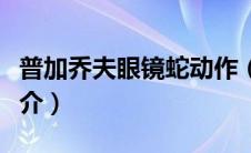 普加乔夫眼镜蛇动作（普加乔夫眼镜蛇机动简介）