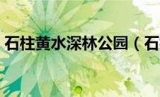 石柱黄水深林公园（石柱黄水森林公园介绍）