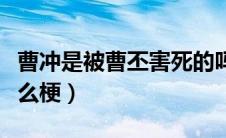 曹冲是被曹丕害死的吗（曹谷兰事件到底是什么梗）