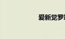 爱新觉罗靖轩原型