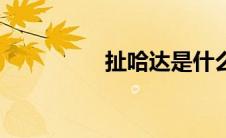 扯哈达是什么（扯哈达）