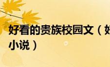 好看的贵族校园文（好看的贵族黑道校园言情小说）