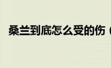 桑兰到底怎么受的伤（桑兰是怎么受伤的）
