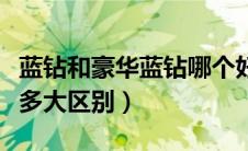 蓝钻和豪华蓝钻哪个好（蓝钻豪华版和蓝钻有多大区别）