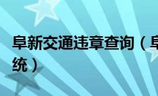 阜新交通违章查询（阜新交通违法网上查询系统）