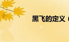 黑飞的定义（黑飞简介）