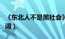 《东北人不是黑社会》（东北人不是黑社会歌词）