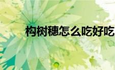 构树穗怎么吃好吃（构树穗怎么吃）