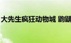 大先生疯狂动物城 鼩鼱怎么读（鼩鼱怎么读）