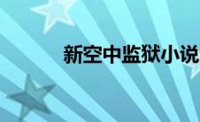 新空中监狱小说（新空中炼狱）