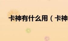 卡神有什么用（卡神系统是个什么公司）