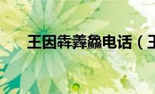 王因犇羴鱻电话（王因子的人物简介）