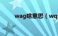 wag啥意思（wqvga是什么意思）