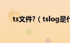 ts文件?（tslog是什么文件夹能删吗）