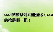csol骷髅系列武器强化（csol有骷髅标志的枪可以分成两把的枪是哪一把）