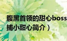 腹黑首领的甜心boss妻 小说（腹黑首席：缉捕小甜心简介）