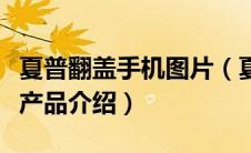 夏普翻盖手机图片（夏普翻盖手机大全及几款产品介绍）