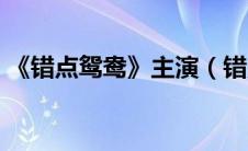 《错点鸳鸯》主演（错点鸳鸯的演员有哪些）