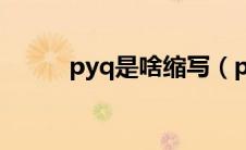 pyq是啥缩写（pyq什么意思啊）