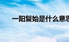 一阳复始是什么意思（一阳复始简介）