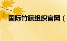 国际竹藤组织官网（国际竹藤组织简介）