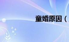 童婚原因（童婚简介）