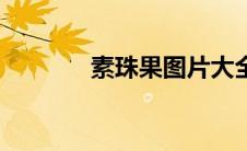 素珠果图片大全（素珠简介）