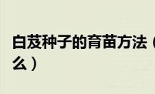 白芨种子的育苗方法（白芨种子种植方法是什么）
