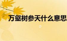 万壑树参天什么意思（万壑树参天原文）