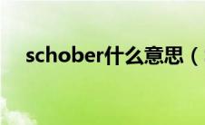 schober什么意思（Scholl是什么意思）