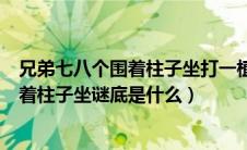 兄弟七八个围着柱子坐打一植物谜底是什么（兄弟七八个围着柱子坐谜底是什么）