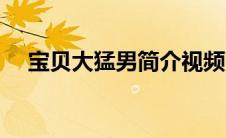 宝贝大猛男简介视频（宝贝大猛男简介）
