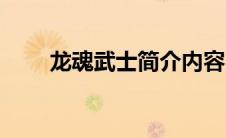 龙魂武士简介内容（龙魂武士简介）