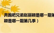 奔跑吧兄弟赵丽颖是哪一期第几季出现的（奔跑吧兄弟赵丽颖是哪一期第几季）