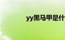 yy黑马甲是什么（yy黑马）