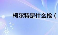 柯尔特是什么枪（柯尔特双枪简介）