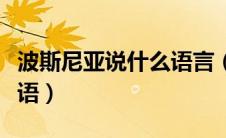 波斯尼亚说什么语言（哪个国家使用波斯尼亚语）