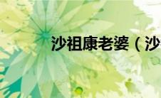 沙祖康老婆（沙祖康经典语录）