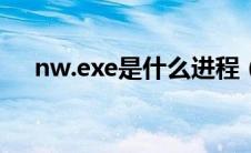 nw.exe是什么进程（nwiz.exe是什么）
