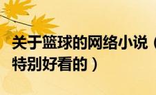 关于篮球的网络小说（有什么关于篮球的小说特别好看的）