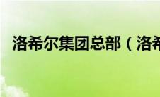 洛希尔集团总部（洛希尔金融集团的介绍）