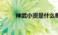 神武小资是什么概念（神武小武）