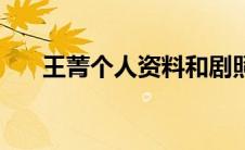 王菁个人资料和剧照（王菁个人资料）